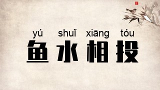 鱼水相投