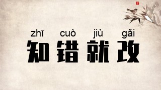 知错就改