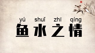 鱼水之情