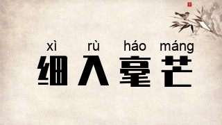 细入毫芒