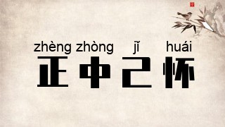 正中己怀