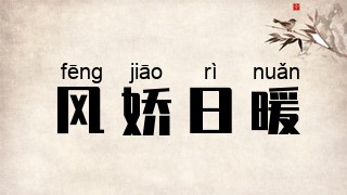 风娇日暖