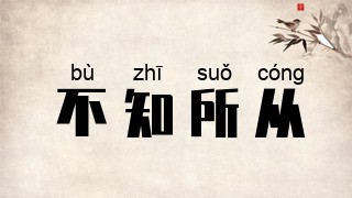 不知所从