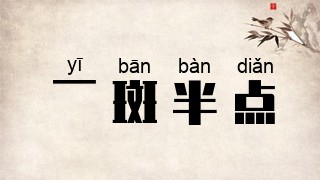 一斑半点