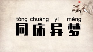 同床异梦