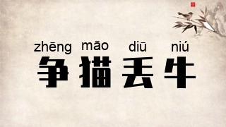 争猫丢牛