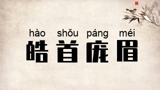皓首庞眉