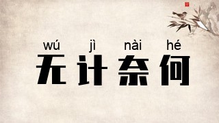 无计奈何