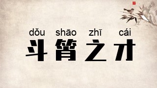 斗筲之才