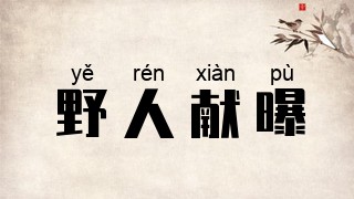 野人献曝