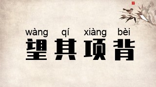 望其项背