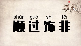 顺过饰非