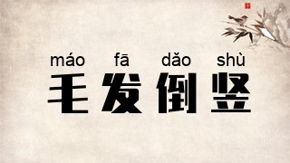 毛发倒竖