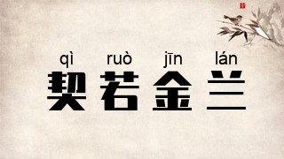 契若金兰