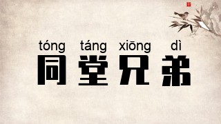 同堂兄弟