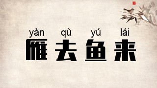 雁去鱼来