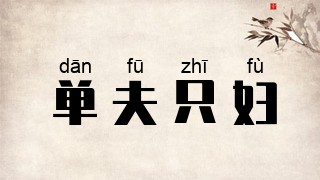 单夫只妇