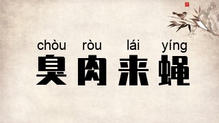 臭肉来蝇