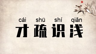 才疏识浅