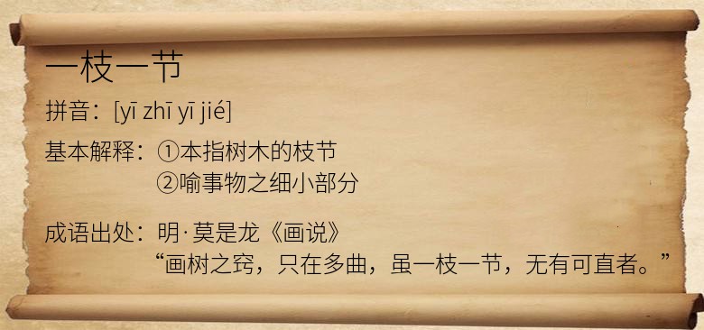 一枝一节