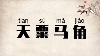 天粟马角