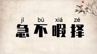 急不暇择