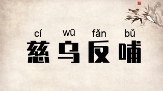 慈乌反哺