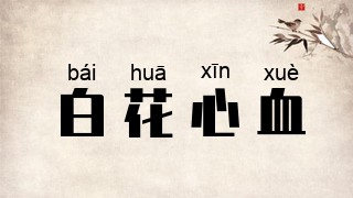 白花心血