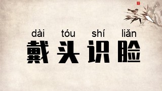 戴头识脸