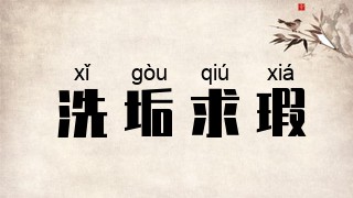 洗垢求瑕
