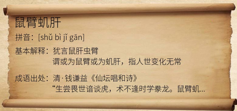 鼠臂虮肝