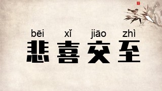 悲喜交至