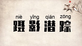 蹑影潜踪