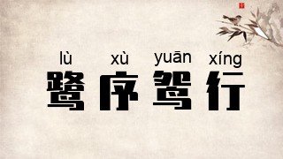 鹭序鸳行