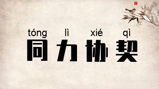 同力协契