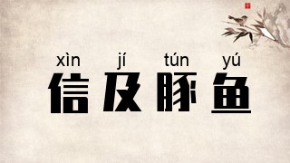 信及豚鱼