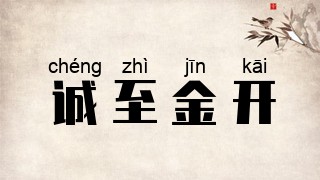 诚至金开