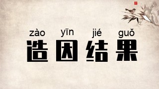 造因结果