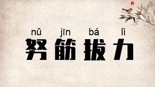 努筋拔力
