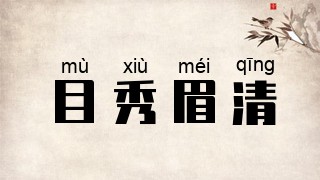 目秀眉清