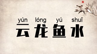 云龙鱼水