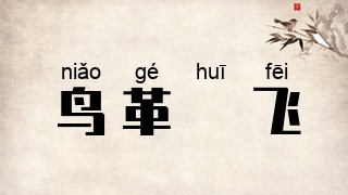 鸟革翚飞