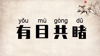 有目共睹