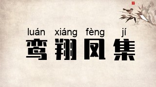 鸾翔凤集