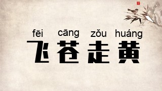 飞苍走黄