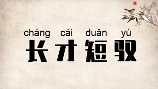 长才短驭