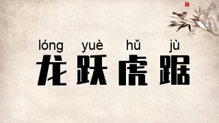 龙跃虎踞