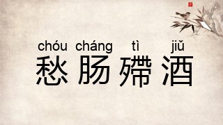 愁肠殢酒