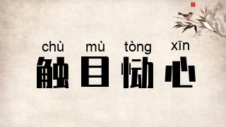 触目恸心