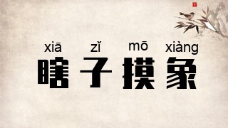 瞎子摸象